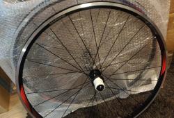 IMG_20220701_125635.jpg