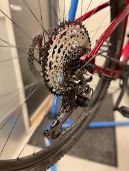 IMG_2166.jpeg