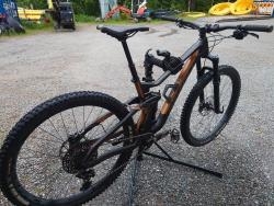 devinci3.jpg