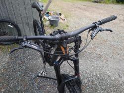 devinci4.jpg