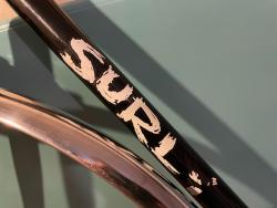 surly6-downtube1.jpg