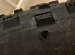 IMG_8450.jpg