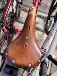 IMG_7240.jpeg