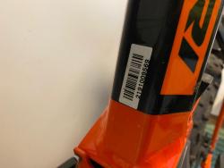 IMG_7703.jpeg
