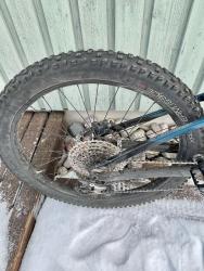 trek3.jpg