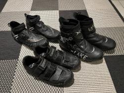 IMG_2131.jpeg