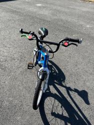 IMG_5746.jpeg