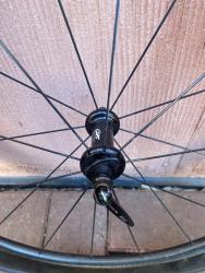 Zipp_2.jpg