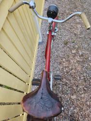IMG-20230501-WA0010.jpg