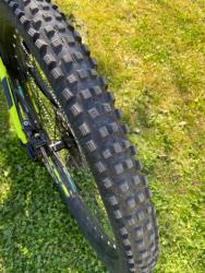 IMG_1410.jpeg