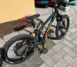 IMG_3429.jpeg