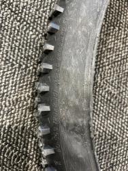 IMG_3481.jpeg