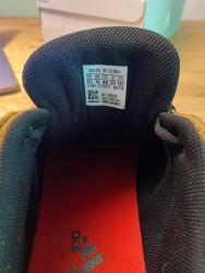 IMG_8420.jpeg