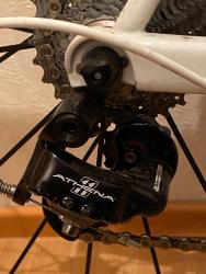 IMG_8826.jpeg