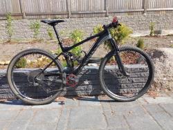 Canyon Lux 8.9.jpg