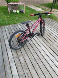 IMG_0656.jpeg