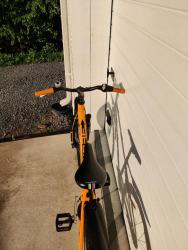 IMG_20230609_203655.jpg