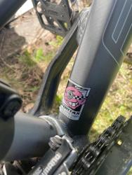 IMG_2159.jpeg