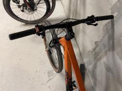 IMG_2249.jpeg