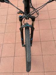 IMG_4030.jpeg