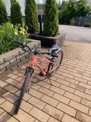 IMG_6325.jpeg
