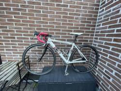 IMG_7509.jpeg
