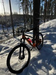 IMG_7535.jpeg