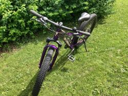 IMG_0118.jpeg