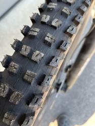IMG_1033.jpeg