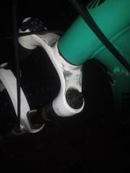 IMG_20230707_022521_6.jpg