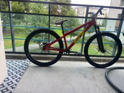 IMG_2799.jpeg