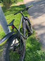 IMG_6529.jpeg