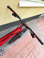 IMG_7817_2.jpg
