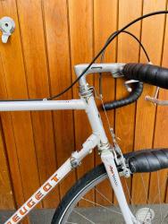 IMG_9303.jpeg