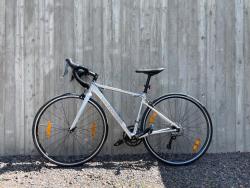 cannondale.jpg