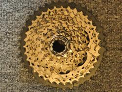 IMG20230801135613.jpg