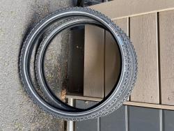 IMG_1254.jpeg