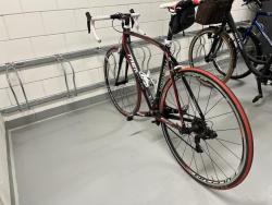 IMG_1982.JPEG