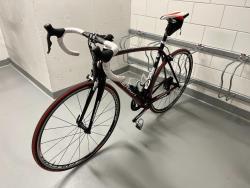 IMG_1983.JPEG