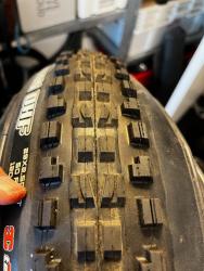 IMG_4421.jpeg