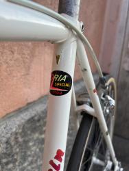 IMG_6150.jpeg
