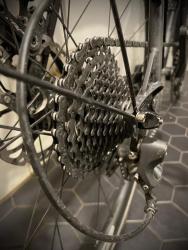 IMG_5312.jpeg
