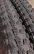 IMG_20231031_202529~2.jpg