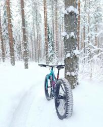 IMG_5972.jpeg
