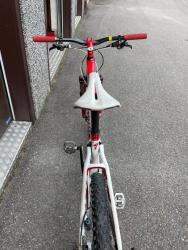 IMG_6833.jpeg