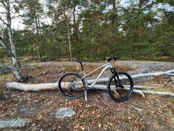 IMG_0507.jpeg