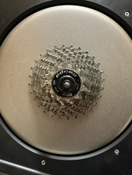 IMG_3438 Large.png