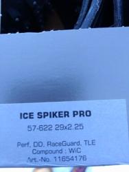 Ice Spiker 3.JPG