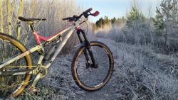 IMG_20211113_110036_3.jpg