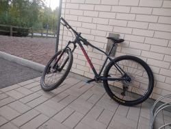 IMG_20220923_175432.jpg